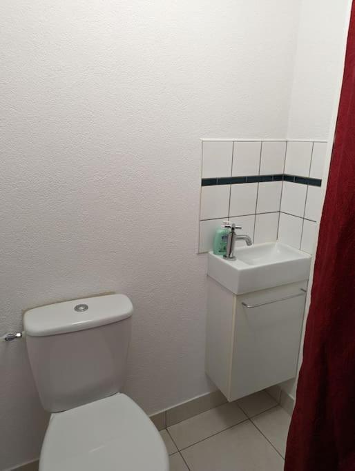 Appartement Plein Centre Saint Die Des Vosges Dış mekan fotoğraf